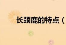 长颈鹿的特点（长颈鹿的特点习性）