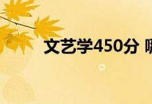 文艺学450分 哪个专业比本科好？