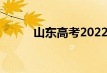 山东高考2022如何填报96志愿？