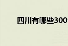 四川有哪些300分左右的公办院校？