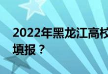 2022年黑龙江高校专升本志愿什么时候开始填报？