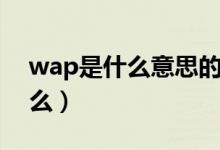 wap是什么意思的缩写(wap缩写意思是什么)