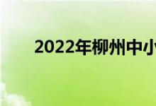 2022年柳州中小学什么时候放暑假？