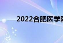 2022合肥医学院模拟志愿报考入口
