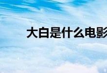 大白是什么电影（大白电影的介绍）