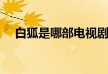 白狐是哪部电视剧的歌（简单介绍一下）
