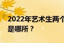 2022年艺术生两个好大学排名中最好的学校是哪所？