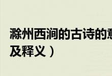 滁州西涧的古诗的意思(滁州西涧的古诗意思及释义)