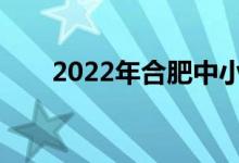 2022年合肥中小学什么时候放暑假？