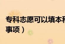 专科志愿可以填本科学校吗（填报志愿的注意事项）
