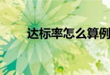 达标率怎么算例题（达标率怎么算）