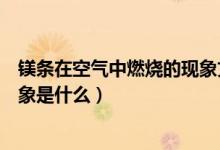 镁条在空气中燃烧的现象文字表达（镁条在空气中燃烧的现象是什么）