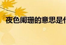 夜色阑珊的意思是什么（夜色阑珊的意思）