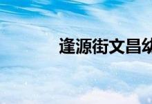 逢源街文昌幼儿园的地址在哪