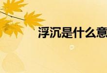 浮沉是什么意思（浮沉的解释）