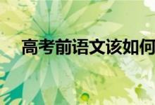 高考前语文该如何冲刺（语文如何复习）