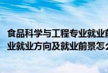 食品科学与工程专业就业前景解析（2022食品科学与工程专业就业方向及就业前景怎么样）