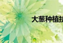 大葱种植技术概述及介绍