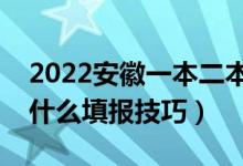2022安徽一本二本同时提交志愿可以吗（有什么填报技巧）