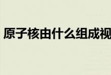 原子核由什么组成视频（原子核由什么组成）