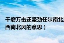 千磨万击还坚劲任尔南北风的意思（千磨万击还坚劲任尔东西南北风的意思）