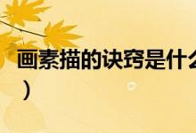 画素描的诀窍是什么（素描的基本要素有哪些）