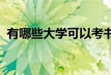 有哪些大学可以考书法 可以报考哪些院校？