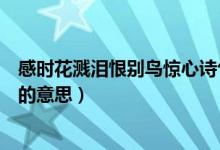 感时花溅泪恨别鸟惊心诗句的意思（感时花溅泪恨别鸟惊心的意思）