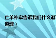 亡羊补牢告诉我们什么道理二年级（亡羊补牢告诉我们什么道理）
