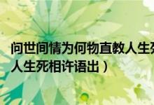 问世间情为何物直教人生死相许图片（问世间情为何物 直教人生死相许语出）