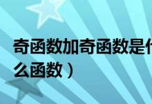 奇函数加奇函数是什么（奇函数加奇函数是什么函数）