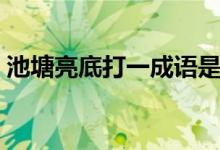 池塘亮底打一成语是什么（池塘亮底打一字）