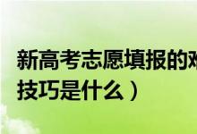 新高考志愿填报的难点在哪（新高考志愿填报技巧是什么）