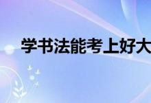 学书法能考上好大学吗（艺考容易考吗）