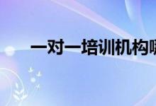 一对一培训机构哪个好（有哪些选择）