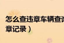怎么查违章车辆查询（怎么查询自己的车子违章记录）