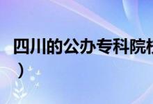 四川的公办专科院校要多少分（学校怎么选择）