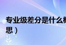 专业级差分是什么概念（专业级差分是什么意思）