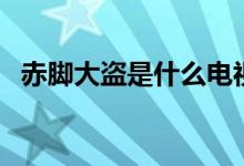 赤脚大盗是什么电视剧（改编自哪部小说）