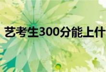 艺考生300分能上什么学校（能上几本大学）