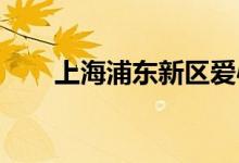 上海浦东新区爱心幼儿园的地址在哪