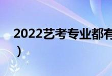 2022艺考专业都有哪些专业（什么专业吃香）