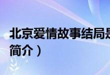 北京爱情故事结局是什么意思（北京爱情故事简介）