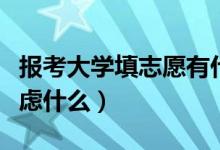 报考大学填志愿有什么技巧吗（填报志愿要考虑什么）