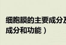 细胞膜的主要成分及各自功能（细胞膜的主要成分和功能）