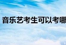 音乐艺考生可以考哪些大学（能上什么学校）