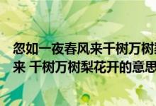 忽如一夜春风来千树万树梨花开表达了什么（忽如一夜春风来 千树万树梨花开的意思）
