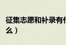 征集志愿和补录有什么区别（补录的流程是什么）