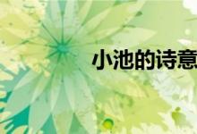 小池的诗意(小池的诗意)