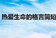 热爱生命的格言简短(关于热爱生命的名言)